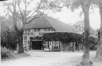 Drögen Hasen