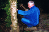  Thumb Maibaum-Setzen 25. + 30.05.2014