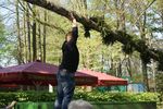  Pfingbaum-Setzen 15. + 16.05.2016