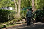  Pfingbaum-Setzen 15. + 16.05.2016