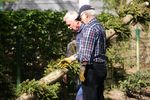  Pfingbaum-Setzen 15. + 16.05.2016