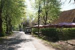  Pfingbaum-Setzen 15. + 16.05.2016